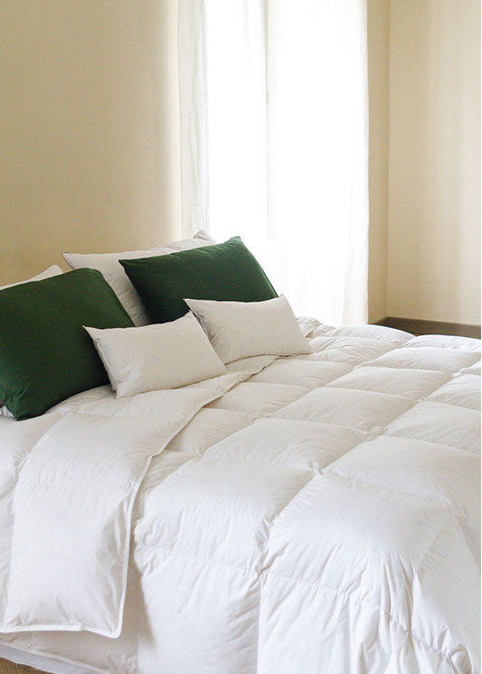 Temperate duvet in organic cotton and natural down Lescure Pyrenex EN