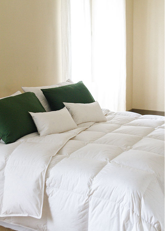 Mild duvets Lescure