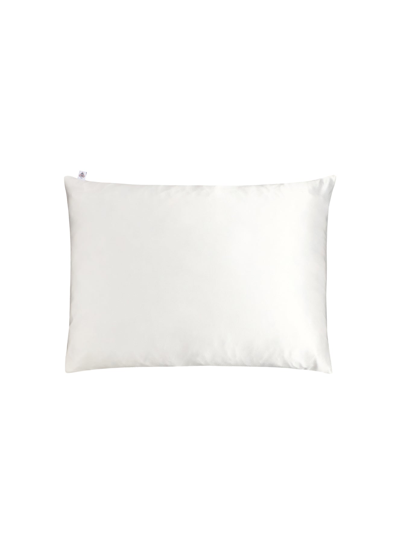 Ivory silk pillowcase-2