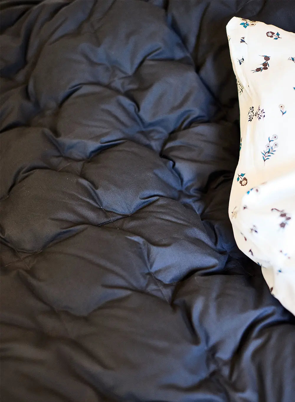 Caresse Carbon-Decke-3