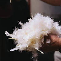 natural duck down Pyrenex